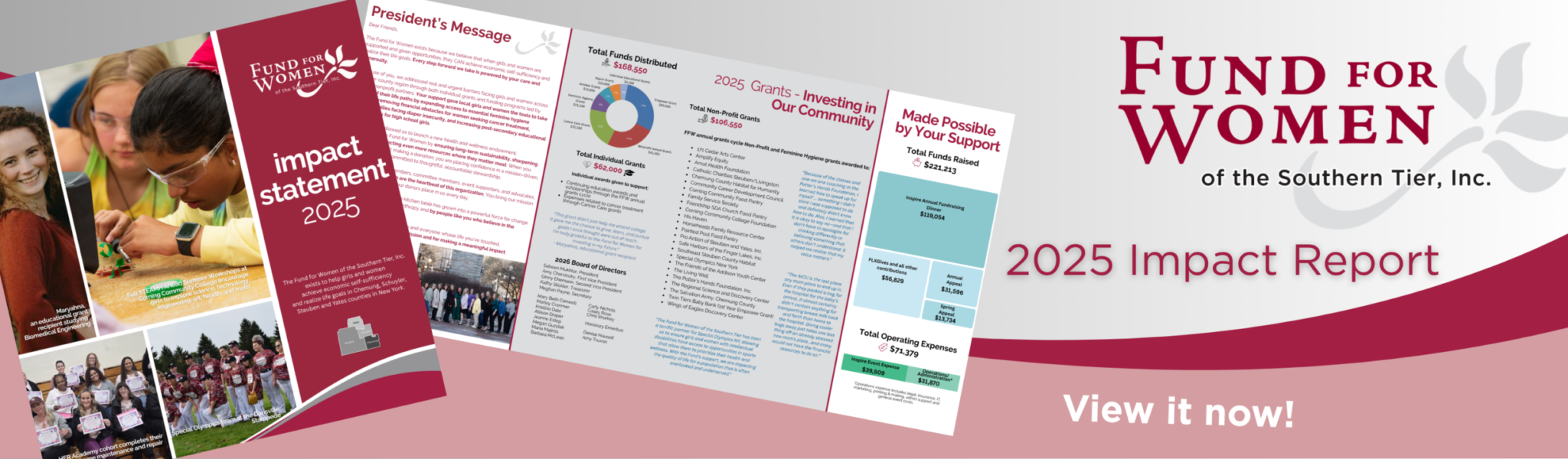 Impact Report 2025 Web Banner